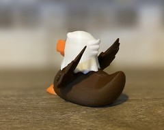 American Eagle Duck