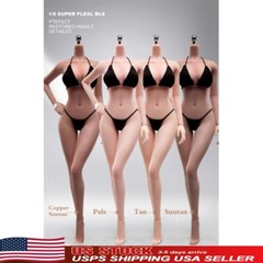 ANT 1:6 Flexible Medium Breast 12 inch Female Seamless Action Figure Body Dolls