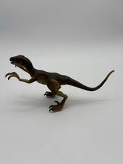 Jurassic World Amber Collection Velociraptor Action Figure