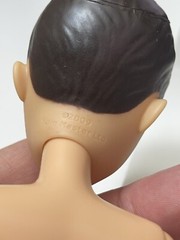 Liv Doll Toy Articulated Brown Hair Green Eyes Frosted Lips 2009 NO ACCESSORIES