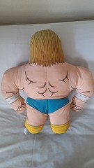 RARE 1991 Toymax WCW Wrestling Champs Lex Luger Buddy Plush w/ WWE WWF