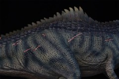 DINO DREAM 1/30 Giganotosaurus Figure Dinosaur Collections Animal Model Toy Gift