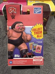 WWE X Garbage Pail Kids Figures Complete Set Andre Stone Cold Warrior Savage