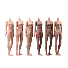 USA 1/6 Female Pale Suntan Large Chest Flexible Body 12inch Action Figure Model
