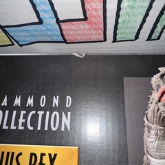 Jurassic World Hammond Collection Indominus Rex Deluxe Damaged Box