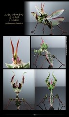 The Diversity of Life on Earth Advance Devil’s Flower Mantis Figure Bandai Gasha