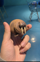 ANIMAL HEAVENLY BODY Turtle Killer Whale Orca Marine Animal Blind Box Model Toys
