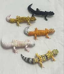 Bandai Illustrated Encyclopedia of Creatures Advanced Leopard Gecko 5 Types