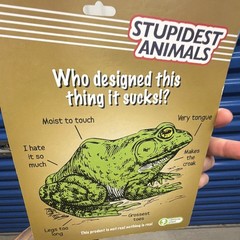 Obvious Plant Stupidest Animals Frog Figure Set Boxed Green/Black Ages 14+