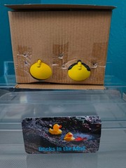 2.5″ Duckalooz Rubber Ducks – Star Wars -Mandalorian and Grogu Boxed Set