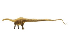 Diplodocus Dinosaur Figure Replica Apatosaurus Sauropod Model EoFauna