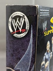 WWE Shop Exclusive Summer Slam Classic Superstars Matt Hardy Jeff Hardy Figures
