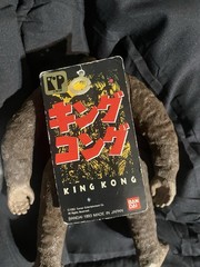 GIANT Y-MSF RAYMOND TOYS 12” 1967 KING KONG ESCAPES LOT OF 2 GODZILLA BRAND NEW!