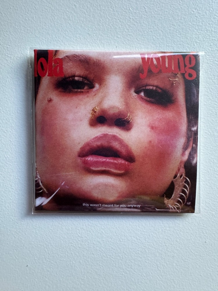 Mini Brands Really Works Vinyl Record – You pick! In hand