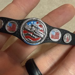 Mattel Elite WWE United States Spinner Championship Title Belt US Cena Figure