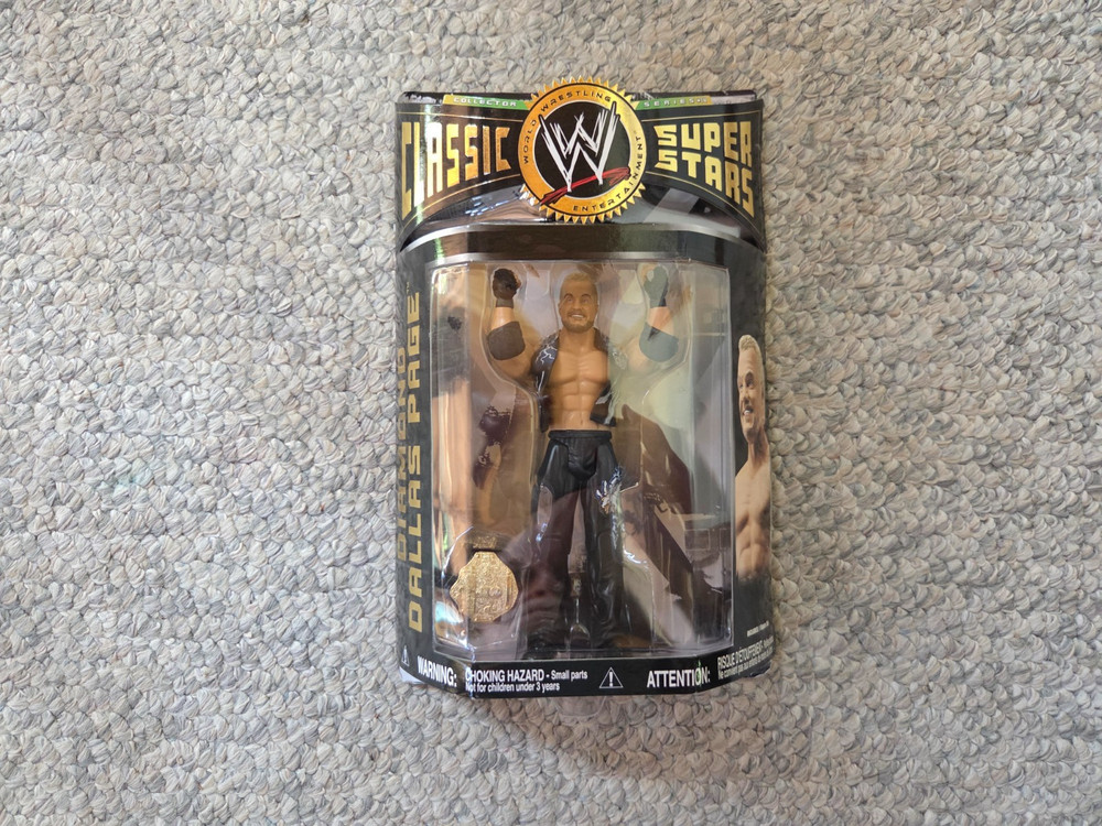 JAKKS Pacific WWE / WWF Classic Superstars DIAMOND DALLAS PAGE