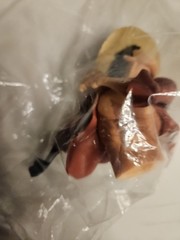 Banpresto One Piece Maximatic Monkey D. Luffy Special Version A NO BOX Complete