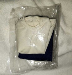 Enterbay Prison Break T-Bag 1/6 scale Figure Limited Editon From Japan USED F/S