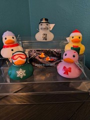 Target Rubber Ducks – 16 Variations – Pick Which One You Want