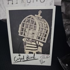 Hirono Blind Box Tamed Wild Grass Figures, Confirmed-CAGED BIRD