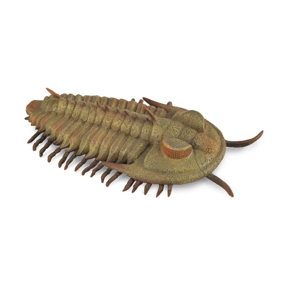 CollectA Realistic Animal Replica Redlichia Rex Trilobite Figure Large Ages 3+