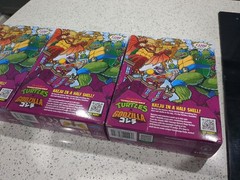 TMNT X Godzilla Full Set- Leonardo Michelangelo Raphael Figures