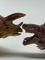 Lot of 8 Mixed Toy Plastic Rubber Dinosaurs. Tallest Around 4”.