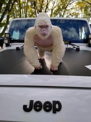 Albino Gorilla 11.8″ Largest Size King Kong White Ape Toy Action Figure Rampage