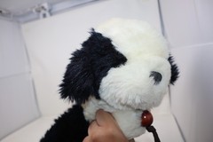 APPLAUSE BLACK/WHITE English Sheep Dog Plush Brown Toggle Collar 16″ 1985