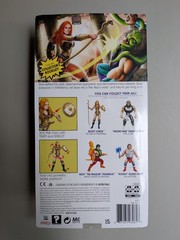 Mattel Masters of the WWE Universe Becky Lynch Action Figure MOTU Unpunched