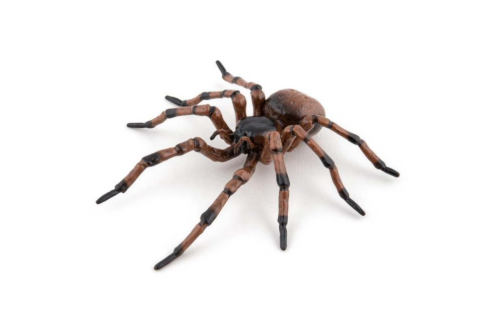 – Realistic Spider Figure – Ages 3+ – Garden Animals Collection – Educational…