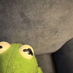 Vintage 1976 Fisher Price #850 KERMIT THE FROG PLUSH Jim Henson Muppet Doll