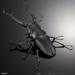 The Diversity of Life on Earth Giraffe Stag Beetle & Hexarthrius Mandibularis