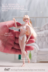 1/12 Female Seamless Body Flexible Pale Medium Bust For 6″ Action Figure Doll