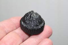Vintage GI Joe 1964/Adventure Team – Black Rubber Cap – THIN Version