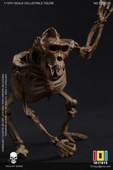 101TOYS ES003A 1/12 Original color CHIMPANZEE SKELETON FRAME BOBY Figure Toys