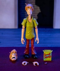 Jada Toys Scooby-Doo Shaggy Rogers 6″ Figure (NM Packaging!)