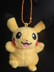 Pokemon Store All Together Zap Zap Magnet Mascot Collection Vol.9