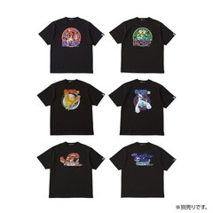 Pokemon Center Pokemon Game Package Collection 30th Anniv. Goods New Japan