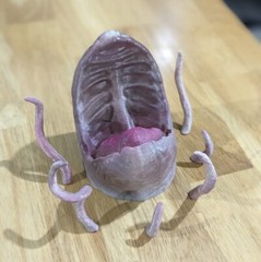 Custom Sarlaac with Tentacles for 3.75 IN (1:18) Figure Diorama (Painted)