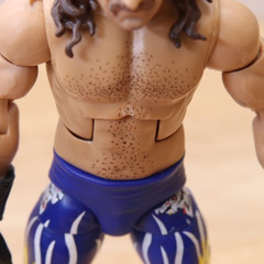 WWE Elite legends Jake The Snake Roberts Wrestling Action Figure Series 13 WWF