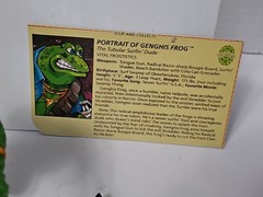 Vintage TMNT Genghis Frog 1989 100% COMPLETE & BIOCARD MINT COND. GREAT JOINTS