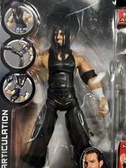 2009 WWE Jakks Deluxe Aggression Ser 19 Matt Hardy Boys Figure face Print Chair