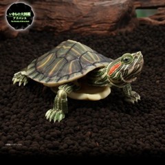 The Diversity of Life on Earth Advance Turtle 01 Figure Bandai Premium Gashapon