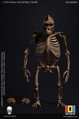 101TOYS ES003A 1/12 Original color CHIMPANZEE SKELETON FRAME BOBY Figure Toys