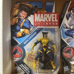 Marvel Universe 3.75” Mystique Series 2 #029 & Wolverine #002 – Hasbro 2010 LOT