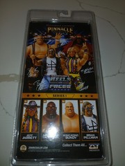 Jeff Jarrett Heels And Faces Pinnacle 1 WWE WWF WCW AEW Zombie Sailor Toys