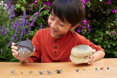 Jurassic Rebirth Micro Adventure Playset, Mutadon Head Opens to 4 Interactive Fe