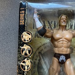 Big 12” WWE HHH Triple H Maximum Aggression Interchangeable Parts Limited RARE