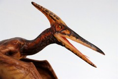 DINO DREAM 1/15 Pteranodon with Base Dinosaur Model GK Animal Figure Toys Gift